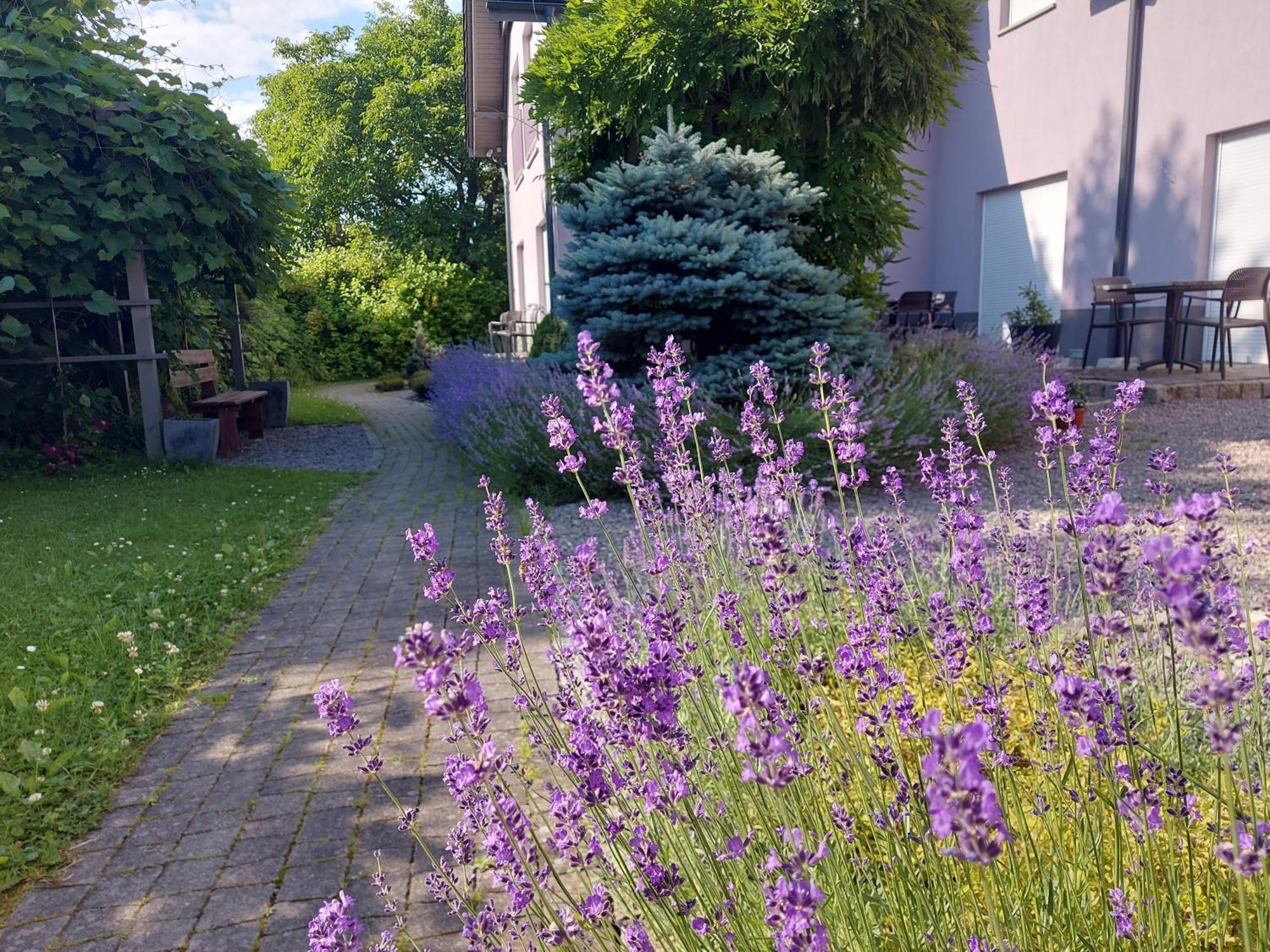 Topolej - Etno Chata Ustroń Exteriör bild